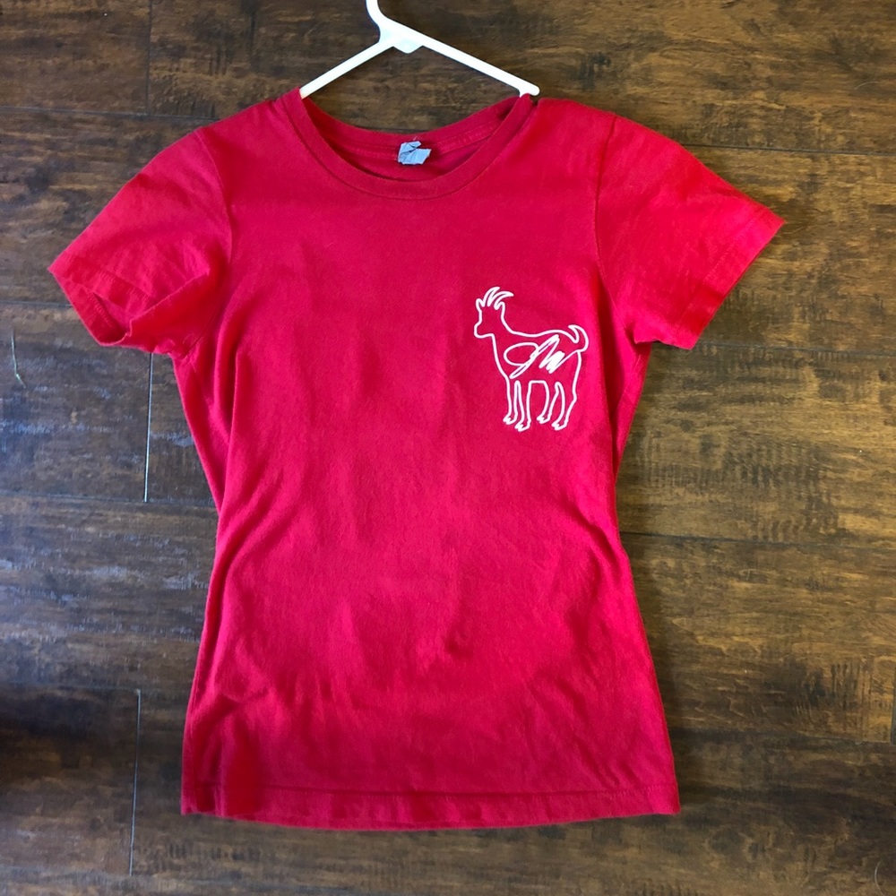 REAL Jake Paul Red Jerika Merch